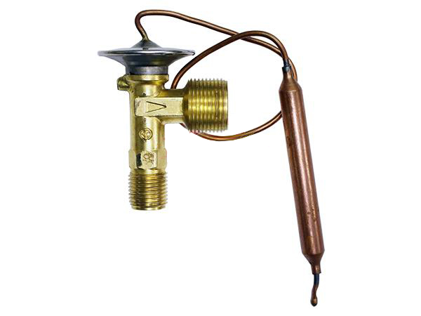 [DT02-5] DETENDEUR MALE MALE