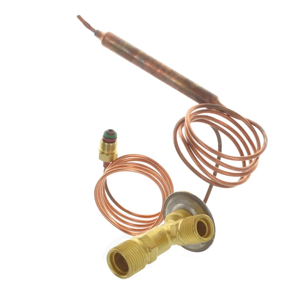 [DT04] DETENDEUR ORING EGALISATION     Bulbe Court MaleOring
